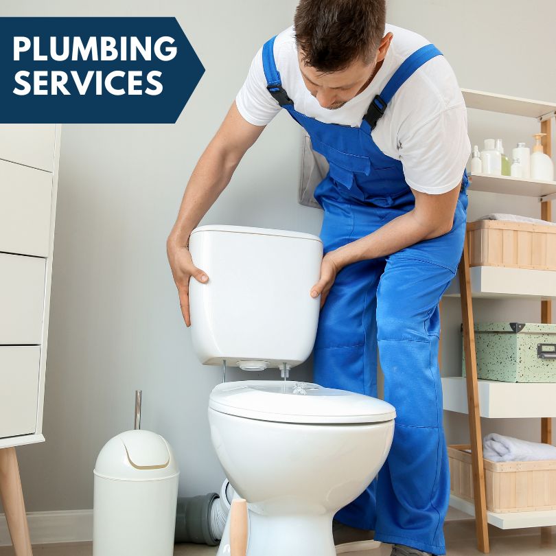 Plumbing Company in Holcomb, IL